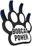14 inch Four Talon Paw
